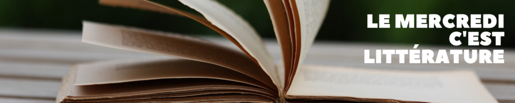 Le Rouge Et Le Noir Chapitre Par Chapitre