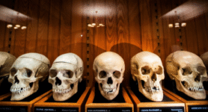 histoire medecine, sante, pharmacie, femme, feminisme, culture, agenda