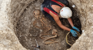 histoire medecine, sante, pharmacie, femme, feminisme, culture, agenda