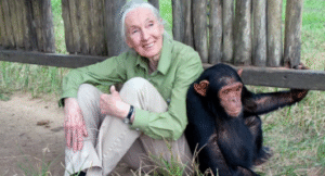 histoire medecine, sante, pharmacie, femme, feminisme, culture, agenda