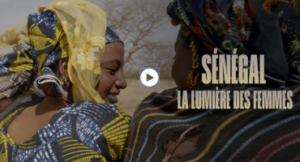 histoire medecine, sante, pharmacie, femme, feminisme, culture, agenda