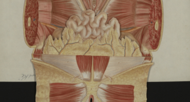 histoire medecine, sante, pharmacie, femme, feminisme, culture, agenda